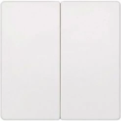 Cache Siemens 5TG6205 Delta Blanc