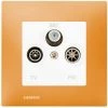 Prise TV FM SAT Blanc Delta Viva + Plaque Orange - SIEMENS - SIEMENS