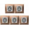 LOT 5 Prise 2P+T Silver Delta Viva + Plaque Métal Marron - SIEMENS - SIEMENS
