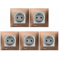 LOT 5 Prise 2P+T Silver Delta Viva + Plaque Métal Marron - SIEMENS - SIEMENS