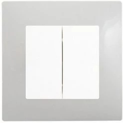 Double Va Et Vient Blanc Delta Viva + Plaque Gris - SIEMENS - SIEMENS