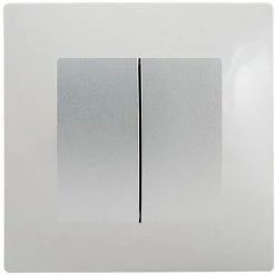 Double Va Et Vient Silver Delta Viva + Plaque Gris - SIEMENS - SIEMENS