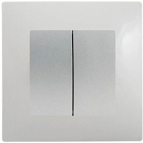 Double Va Et Vient Silver Delta Viva + Plaque Gris - SIEMENS - SIEMENS 1 Double Va Et Vient Silver Delta Viva + Plaque Gris - SIEMENS - SIEMENS