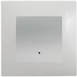 Va Et Vient à Voyant Silver Delta Viva + Plaque Gris - SIEMENS - SIEMENS