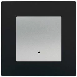 Va Et Vient à Voyant Silver Delta Viva + Plaque Noir - SIEMENS - SIEMENS