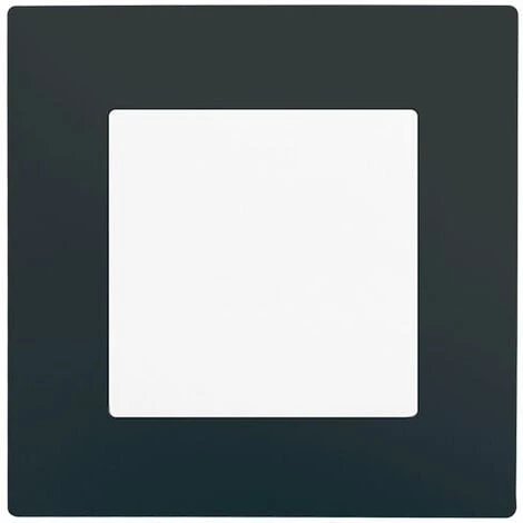 Poussoir Blanc Delta Viva + Plaque Anthracite - SIEMENS - SIEMENS 1 Poussoir Blanc Delta Viva + Plaque Anthracite - SIEMENS - SIEMENS