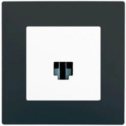 Prise RJ45 Blanc Delta Viva + Plaque Anthracite - SIEMENS - SIEMENS