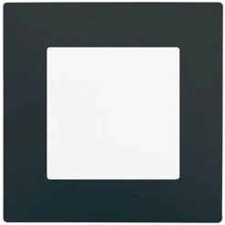 Va Et Vient à Voyant Blanc Delta Viva + Plaque Anthracite - SIEMENS - SIEMENS