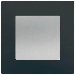 Poussoir Silver Delta Viva + Plaque Anthracite - SIEMENS - SIEMENS