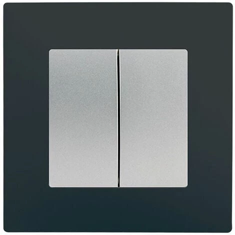 Double Va Et Vient Silver Delta Viva + Plaque Anthracite - SIEMENS - SIEMENS 1 Double Va Et Vient Silver Delta Viva + Plaque Anthracite - SIEMENS - SIEMENS