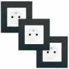 LOT 3 Prise 2P+T Blanc Delta Viva + Plaque Anthracite - SIEMENS - SIEMENS