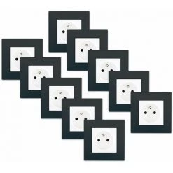 LOT 10 Prise 2P+T Blanc Delta Viva + Plaque Anthracite - SIEMENS - SIEMENS