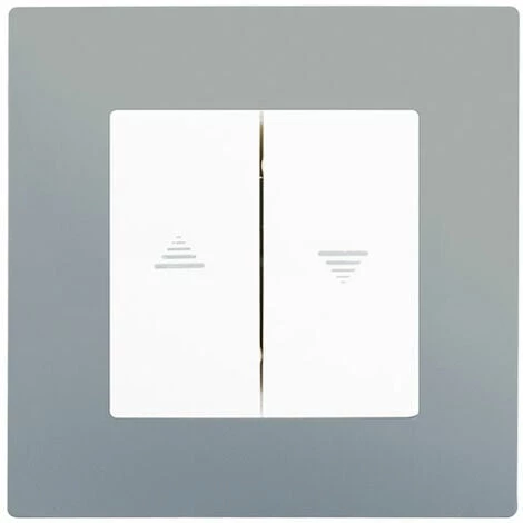 Interrupteur Volet Roulant Blanc Delta Viva + Plaque Silver - SIEMENS - SIEMENS 1 Interrupteur Volet Roulant Blanc Delta Viva + Plaque Silver - SIEMENS - SIEMENS