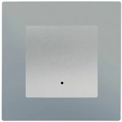 Va Et Vient à Voyant Silver Delta Viva + Plaque Silver - SIEMENS - SIEMENS