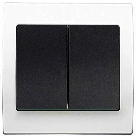 Double Va Et Vient Anthracite Delta Iris + Plaque Basic Blanc - SIEMENS - SIEMENS 1 Double Va Et Vient Anthracite Delta Iris + Plaque Basic Blanc - SIEMENS - SIEMENS