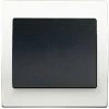 Va Et Vient Anthracite Delta Iris + Plaque Basic Blanc - SIEMENS - SIEMENS