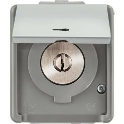 SIEMENS Interrupteur A Clé Pour Store Avec Symbole Clé 1 Pole 1 Pc