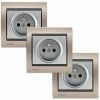 LOT 3 Prise 2P+T Silver Delta Iris + Plaque Métal Champagne - SIEMENS - SIEMENS