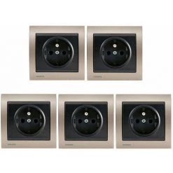 LOT 5 Prise 2P+T Anthracite Delta Iris + Plaque Métal Champagne - SIEMENS - SIEMENS